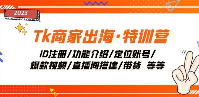 Tk商家出海·特训营：ID注册/功能介绍/定位账号/爆款视频/直播间搭建/带货-chywc