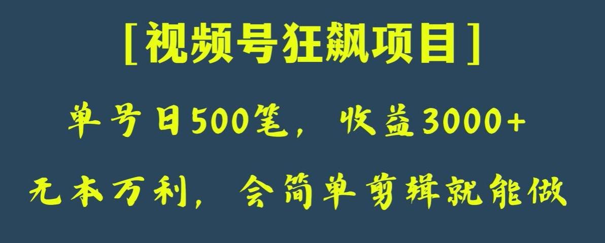 日收款500笔，纯利润3000+，视频号狂飙项目，会简单剪辑就能做【揭秘】-chywc