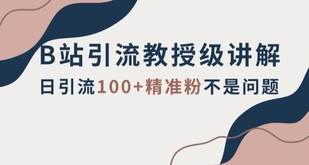 B站引流教授级讲解，细节满满，日引流100+精准粉不是问题【揭秘】-chywc