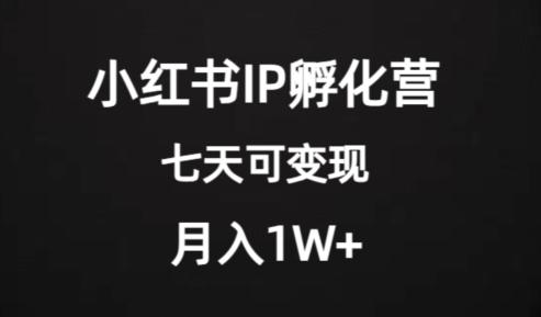 价值2000+的小红书IP孵化营项目，超级大蓝海，七天即可开始变现，稳定月入1W+-chywc
