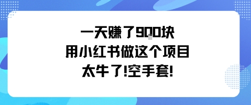 一天挣了9张用小红书做这个项目太牛了，空手套-chywc