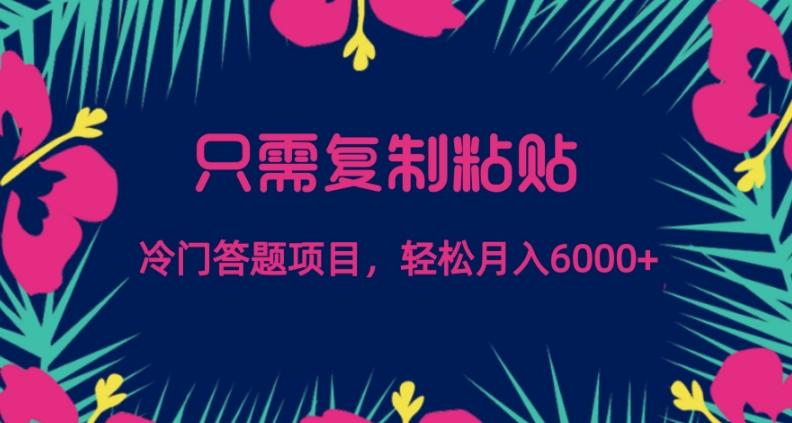 只需复制粘贴，冷门答题项目，轻松月入6000-chywc