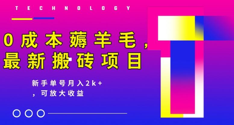 0成本薅羊毛，最新搬砖项目，新手单号月入2k+，可放大操作-chywc