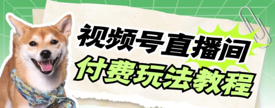 视频号美女付费无人直播，轻松日入500+【详细玩法教程】-chywc