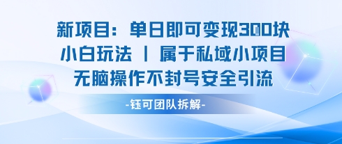 新项目单日即可变现3张的小白玩法无脑操作不封号安全引流-chywc