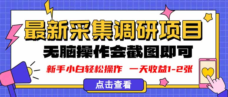 新版采集调研项目，截图上传即可，无脑操作，日收益1-2张-chywc