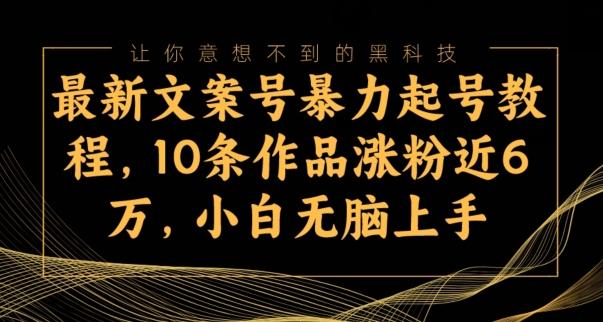 最新文案号暴力起号教程，10条作品涨粉近6万，小白无脑上手-chywc