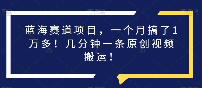 蓝海赛道项目，一个月搞了1万多！几分钟一条原创视频搬运！-chywc