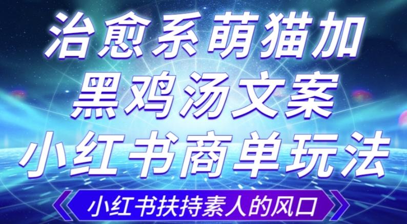 治愈系萌猫加+黑鸡汤文案，小红书商单玩法，3~10天涨到1000粉，一单200左右-chywc