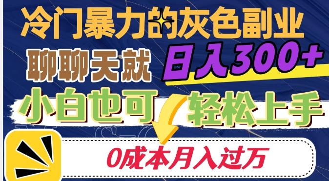 冷门暴利的副业项目，聊聊天就能日入300+，0成本月入过万【揭秘】-chywc