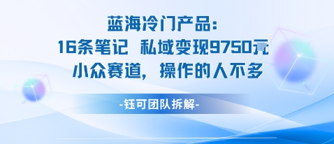 蓝海项目：16条笔记私域变现9750米小众赛道操作的人不多-chywc
