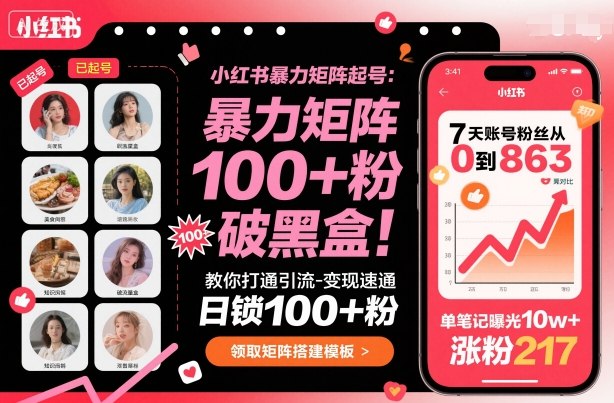 小红书暴力矩阵起号，教你打通引流-变现速通，日锁100+粉，破流量黑盒-chywc