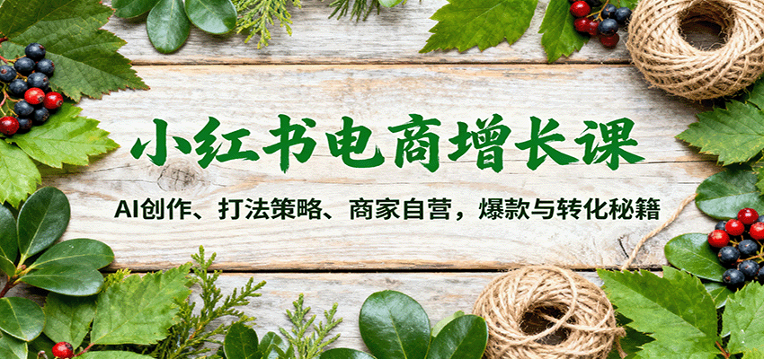 小红书电商增长课：AI创作、打法策略、商家自营，爆款与转化秘籍-chywc