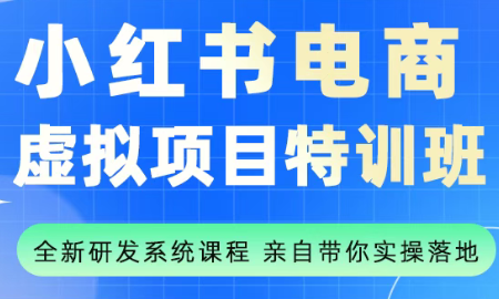 陆明明·小红书虚拟项目特训班(更新9月)-chywc