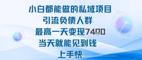 2025年小白都能做的私域项目引流负债人群最高一天变现1k+高变现难度低当天就能见到钱上手快-chywc