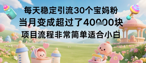 每天稳定引流30个宝妈粉当月变成超过了1W+项目流程非常简单适合小白-chywc