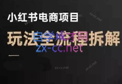 菲菲老师·小红书电商玩法(更新9月)-chywc