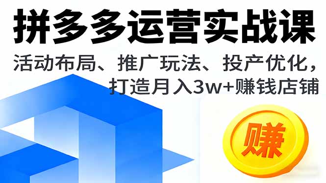 拼多多运营实战课,活动布局、推广玩法、投产优化,打造月入3w+赚钱店铺-chywc