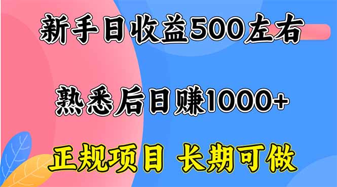 新手日收益500+ 正规项目 长期可做-chywc