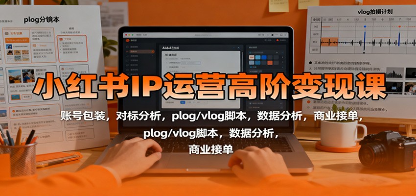 小红书IP运营高阶变现课：账号包装，对标分析，plog/vlog脚本，数据分析，商业接单-chywc