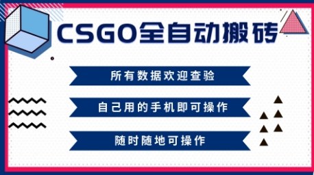 CSGO全自动搬砖，年底钱回家好项目，当天可拿到结果，新手小白轻松月入1W+【揭秘】-chywc
