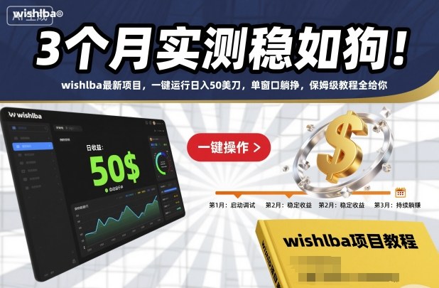 3个月实测稳如狗！wishlba最新项目，一键运行日入50美刀，单窗口躺挣，保姆级教程全给你【揭秘】-chywc