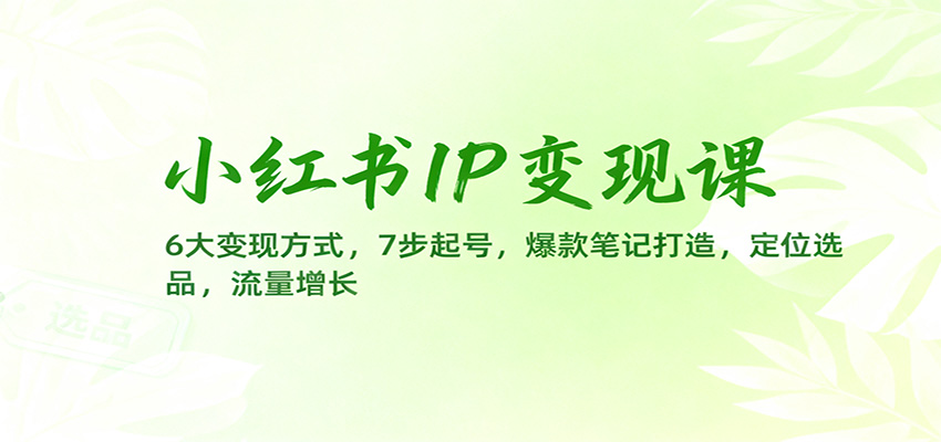 小红书IP变现课：6大变现方式，7步起号，爆款笔记打造，定位选品，流量增长-chywc