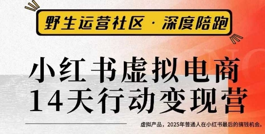 小红书虚拟电商14天变现训练营3.0，​虚拟产品，2025年普通人在小红书最后的搞钱机会-chywc