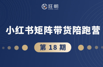 盗坤·抖音小红书视频号短视频带货与直播变现(11-18期)-chywc