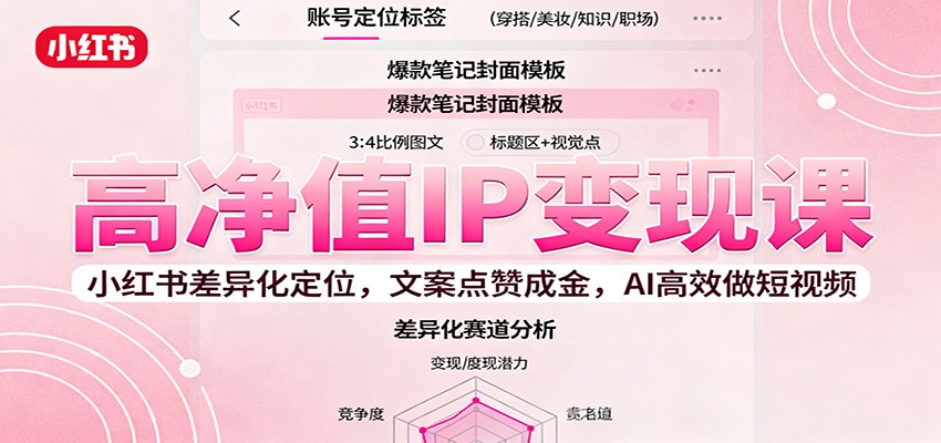 高净值IP变现课：小红书差异化定位，文案点赞成金， AI高效做短视频-chywc