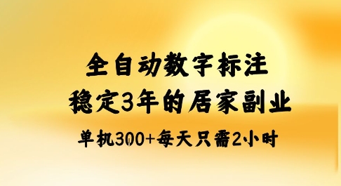 全自动数字标注，稳定3年的蓝海项目，居家也能矩阵开干的副业，单机日入3张+【揭秘】-chywc