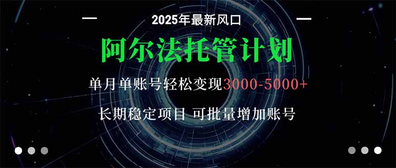 阿尔法托管计划 单账号月入3000-5000，长期稳定项目，新手小白轻松上手。-chywc