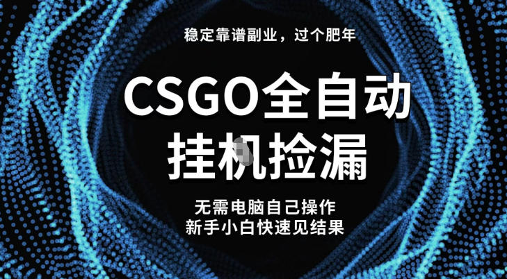 【稳定副业】全球最热门游戏CSGO全自动捡漏，最新玩法，新手小白日入5张+【揭秘】-chywc