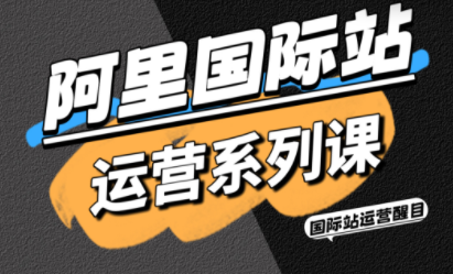 醒目老师·阿里国际站运营系列课(更新11月)-chywc