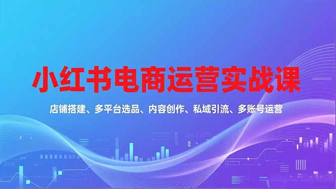 小红书电商运营实战课，店铺搭建、多平台选品、内容创作、私域引流、多账号运营等玩法-chywc