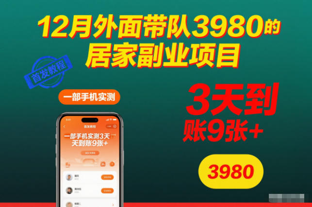 12月外面带队3980的居家副业项目，一部手机实测3天到账9张+，首发教程【揭秘】-chywc
