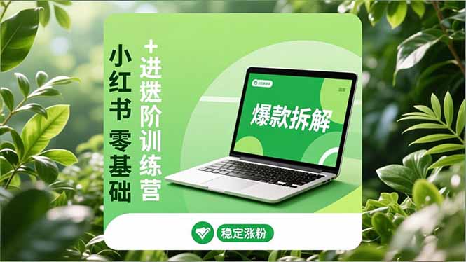 小红书零基础+高阶训练营:安全养号、爆款拆解、长效运营,实现稳定涨粉与变现-chywc