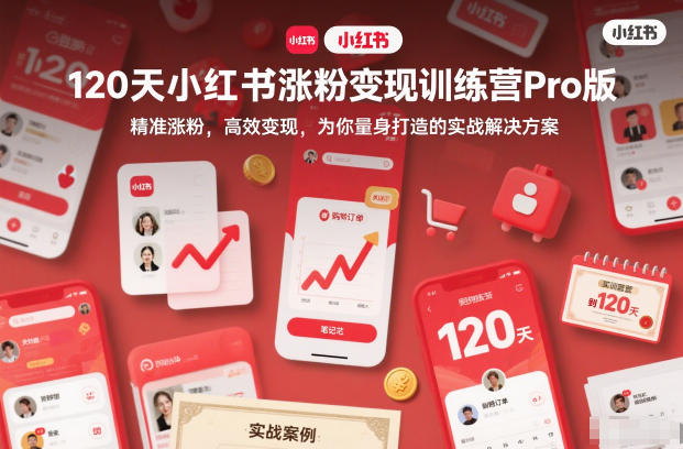 120天小红书涨粉变现训练营Pro版，​精准涨粉，高效变现​，为你量身打造的实战解决方案-chywc