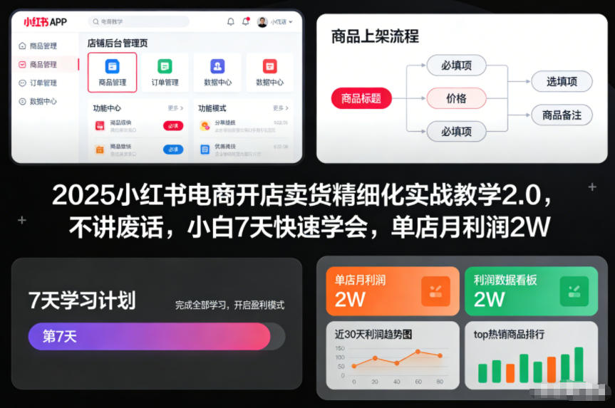2025小红书电商开店卖货精细化实战教学2.0，不讲废话，小白7天快速学会，单店月利润2W-chywc