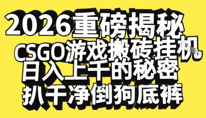2026开年重磅解密，CSGO游戏搬砖挂G日入1k+的秘密，把倒狗的底裤扒干【揭秘】-chywc