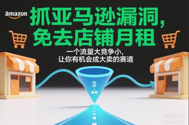 抓亚马逊漏洞，免去店铺月租，一个流量大竞争小，让你有机会成大卖的赛道-chywc