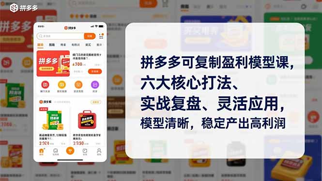 拼多多可复制盈利模型课，六大核心打法、实战复盘、灵活应用，模型清晰，稳定产出高利润-chywc