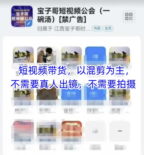 宝子哥头部团队短视频带货，以混剪为主，不需要真人出镜，不需要拍摄【更新11月】-chywc