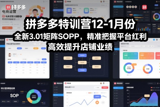 拼多多特训营12-1月份，全新3.01矩阵Sop，精准把握平台红利，高效提升店铺业绩-chywc