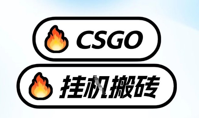 真全网独家CSGO挂G，最新玩法,单日捡漏1K+，不用电脑，不用打游戏【揭秘】-chywc