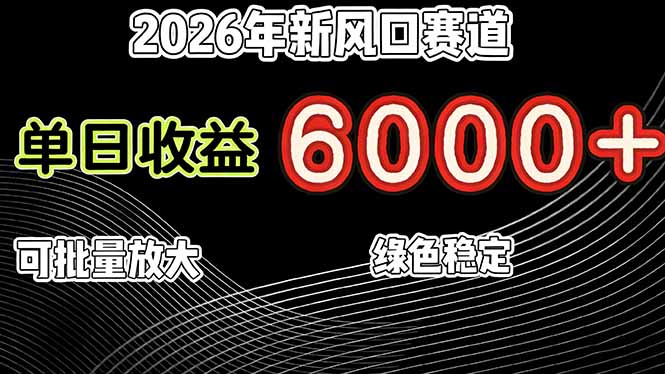 2026年新风口赛道，当日6000+以上，可批量放大，月收入20万+，长期绿色稳定的项目-chywc