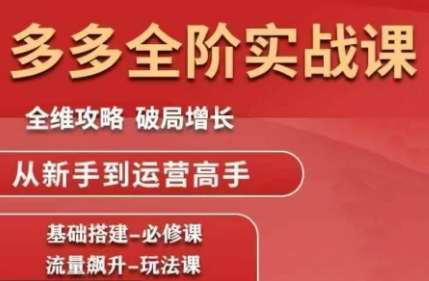 大炮·拼多多全阶实战课程(更新2026)-chywc