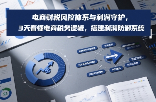 电商财税风控体系与利润守护，3天看懂电商税务逻辑，搭建利润防御系统-chywc