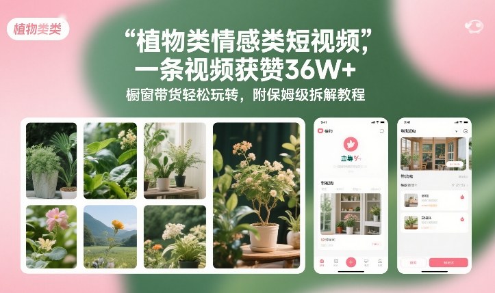 植物类情感类短视频，一条视频获赞36W+，橱窗带货轻松玩转，附保姆级拆解教程-chywc