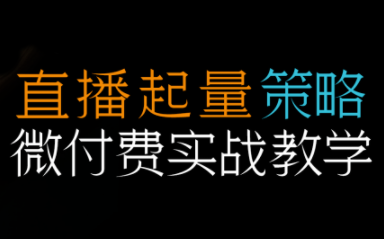 半野老师·直播带货起量与微付费必学课视频号(更新2026)-chywc
